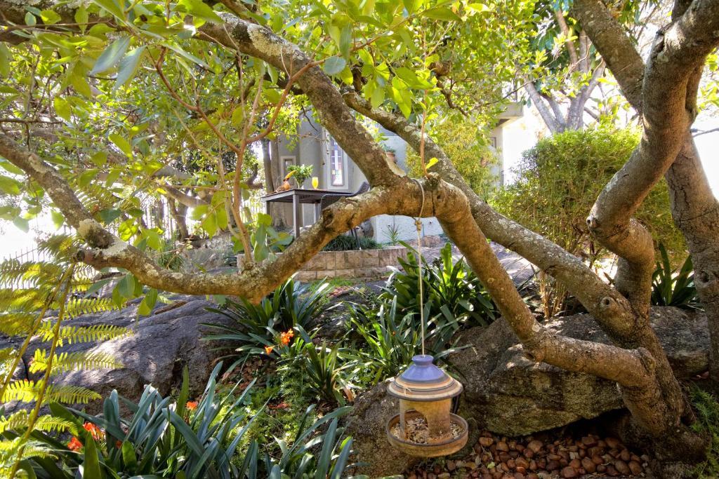 Loerie'S Call Guesthouse Νέλσπρουιτ Εξωτερικό φωτογραφία