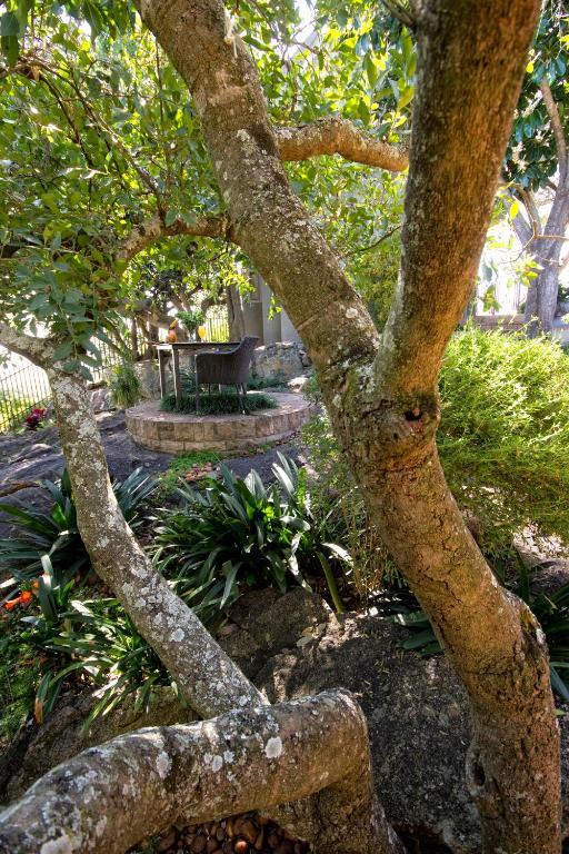 Loerie'S Call Guesthouse Νέλσπρουιτ Εξωτερικό φωτογραφία